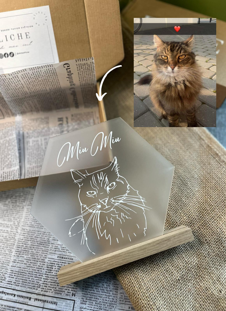 Personalizēts dekors no FOTO medusšūna